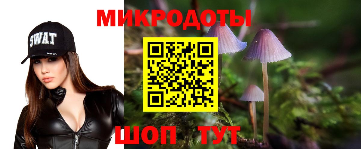 Псилоцибиновые грибы Cubensis Клин