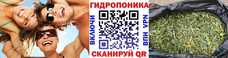 Каннабис план  цены   Клин 