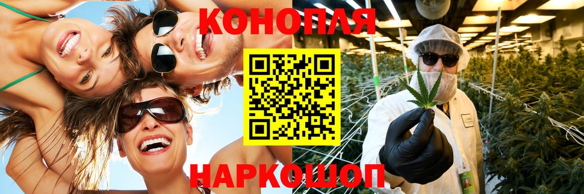 Канабис семена Клин